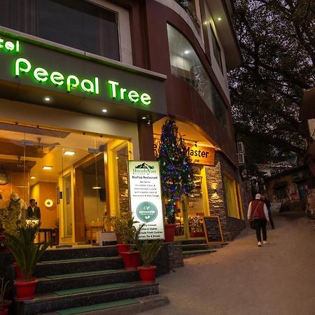 Hotel Peepal Tree Rishīkesh Zewnętrze zdjęcie